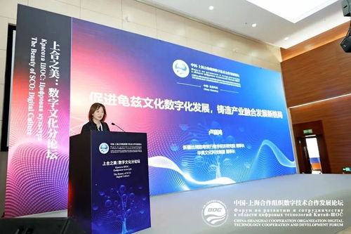 上合之美，数字赋能 推动龟兹文化数字化发展，打造产业融合新格局